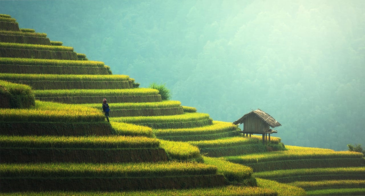 Climate Adaptation, Sustainable Agriculture, and Resource Management in Oceania