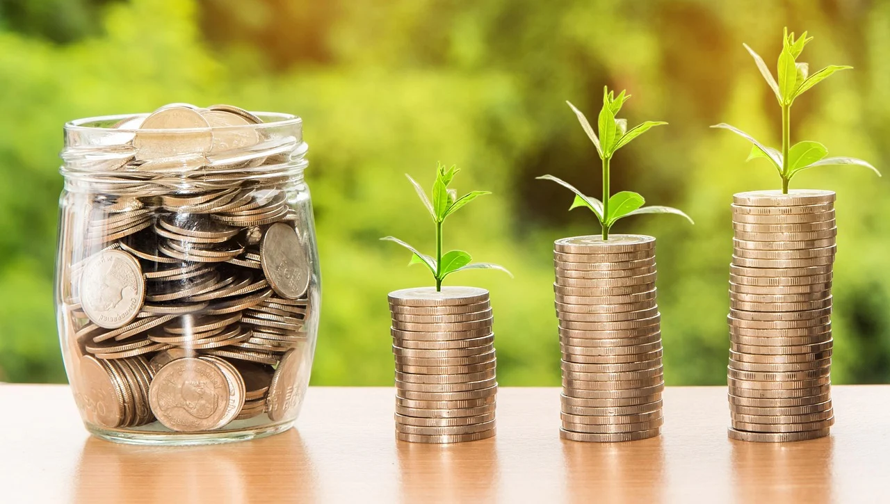 Dual Citizenship Financial Planning