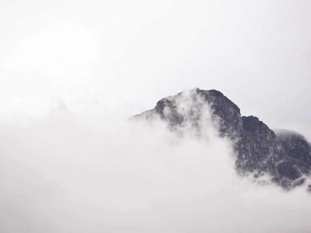 The Rise of Startup Ecosystems: Top Companies to Watch This Year