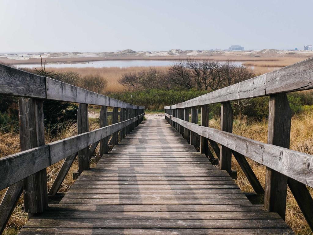 Understanding Corporate Structures: Types of Companies Every Entrepreneur Should Know